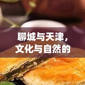 聊城与天津，文化与自然的绝美融合之旅攻略