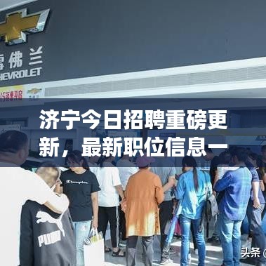 济宁今日招聘重磅更新，最新职位信息一网打尽