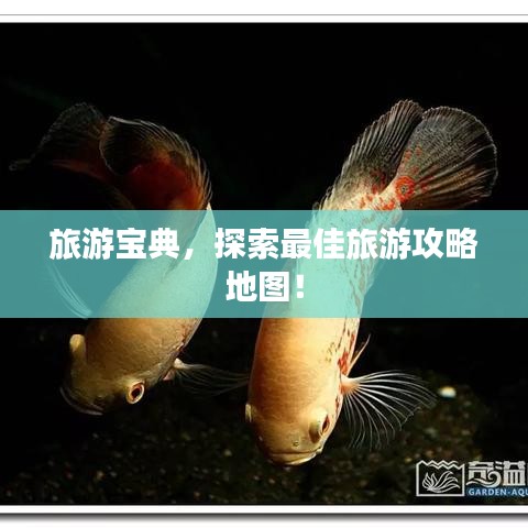 旅游宝典，探索最佳旅游攻略地图！