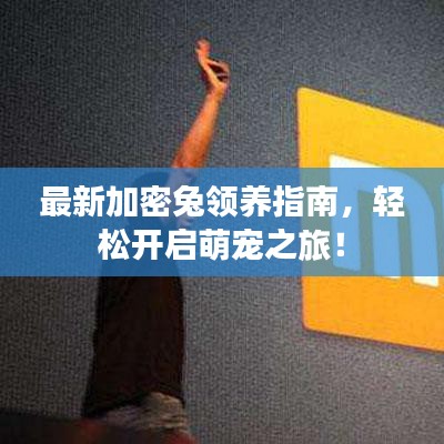 最新加密兔领养指南，轻松开启萌宠之旅！