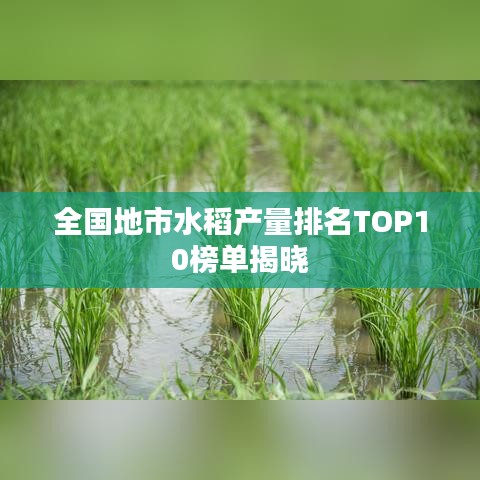 全国地市水稻产量排名TOP10榜单揭晓