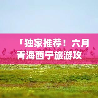 「独家推荐！六月青海西宁旅游攻略全攻略」