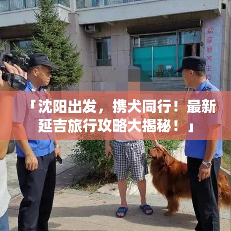 「沈阳出发，携犬同行！最新延吉旅行攻略大揭秘！」