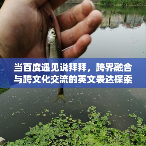当百度遇见说拜拜，跨界融合与跨文化交流的英文表达探索