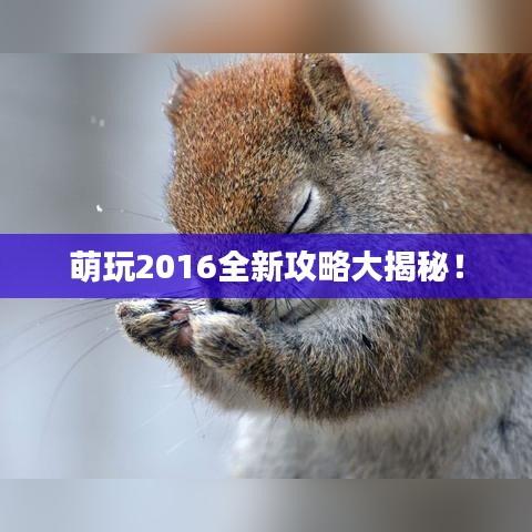 萌玩2016全新攻略大揭秘！
