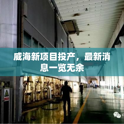威海新项目投产，最新消息一览无余