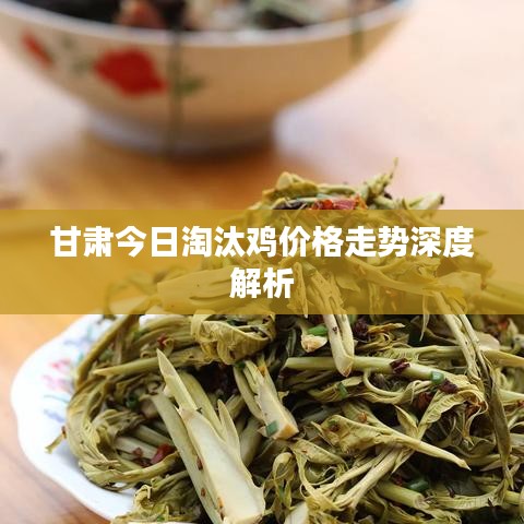 甘肃今日淘汰鸡价格走势深度解析