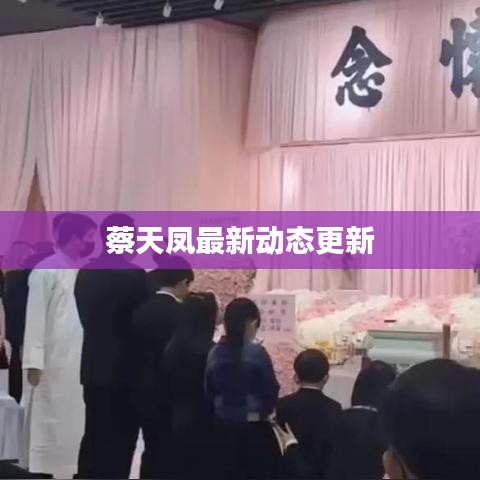 蔡天凤最新动态更新