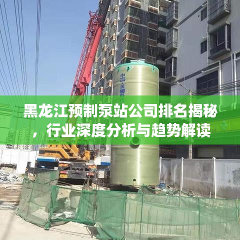黑龙江预制泵站公司排名揭秘，行业深度分析与趋势解读