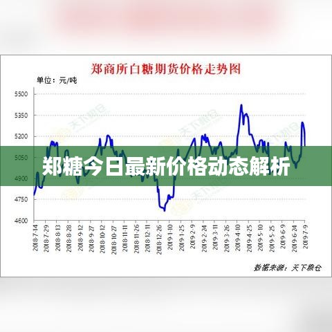 郑糖今日最新价格动态解析