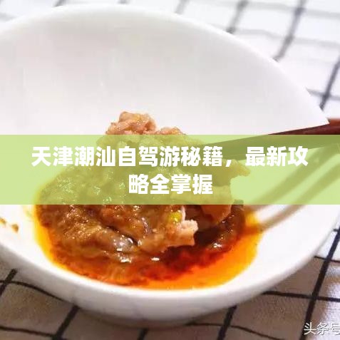 天津潮汕自驾游秘籍，最新攻略全掌握