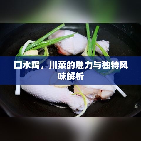 口水鸡，川菜的魅力与独特风味解析