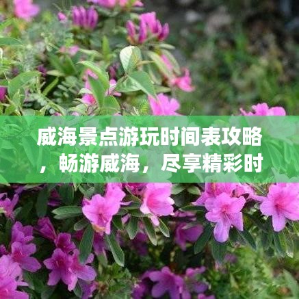 威海景点游玩时间表攻略，畅游威海，尽享精彩时刻！