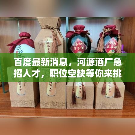 百度最新消息，河源酒厂急招人才，职位空缺等你来挑战！