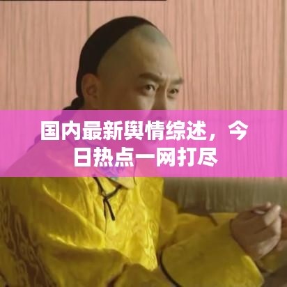 国内最新舆情综述，今日热点一网打尽