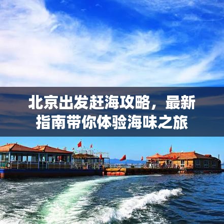 北京出发赶海攻略，最新指南带你体验海味之旅