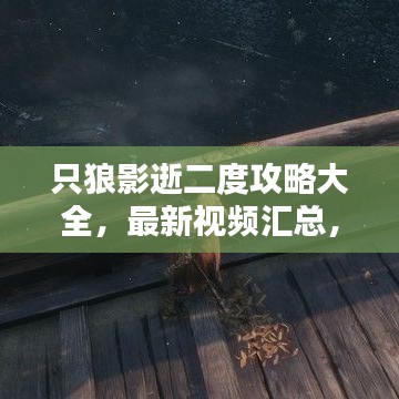 只狼影逝二度攻略大全，最新视频汇总，助你成为无敌忍者！