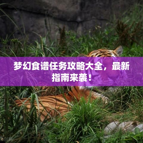 梦幻食谱任务攻略大全，最新指南来袭！