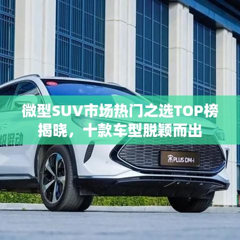 微型SUV市场热门之选TOP榜揭晓，十款车型脱颖而出
