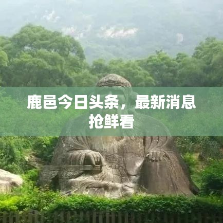 鹿邑今日头条，最新消息抢鲜看