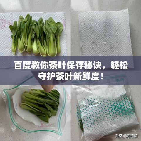 百度教你茶叶保存秘诀，轻松守护茶叶新鲜度！