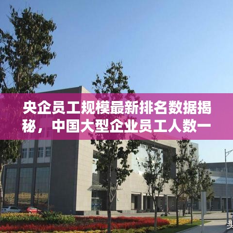 央企员工规模最新排名数据揭秘，中国大型企业员工人数一览