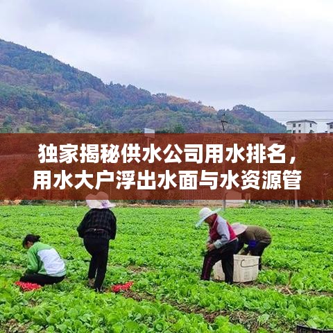 独家揭秘供水公司用水排名，用水大户浮出水面与水资源管理挑战
