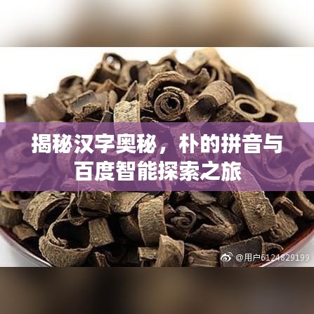 揭秘汉字奥秘，朴的拼音与百度智能探索之旅
