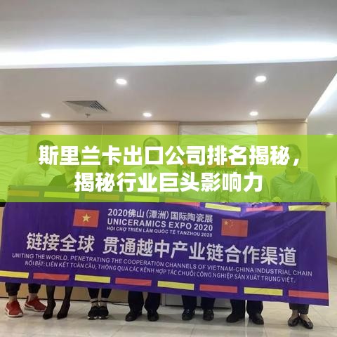 斯里兰卡出口公司排名揭秘，揭秘行业巨头影响力