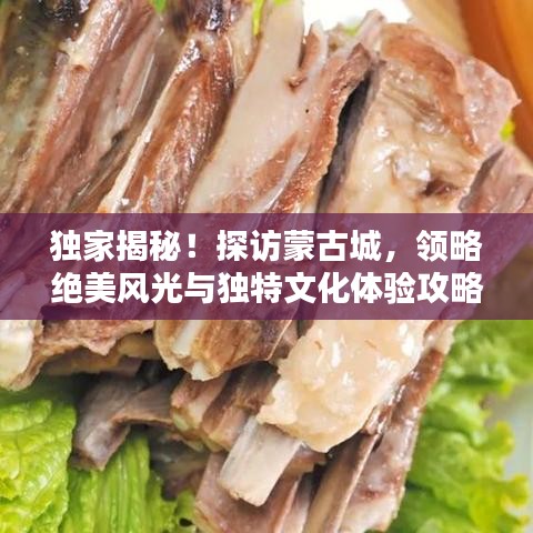 独家揭秘！探访蒙古城，领略绝美风光与独特文化体验攻略