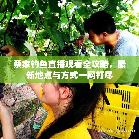 蔡家钓鱼直播观看全攻略，最新地点与方式一网打尽