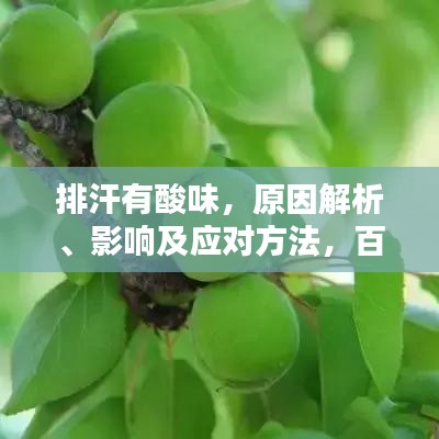 排汗有酸味，原因解析、影响及应对方法，百度来解答！