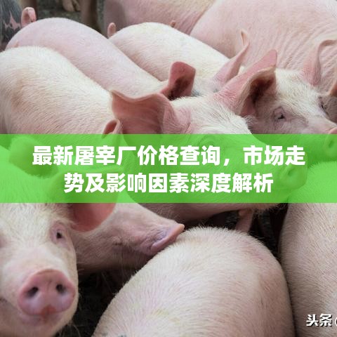 最新屠宰厂价格查询，市场走势及影响因素深度解析