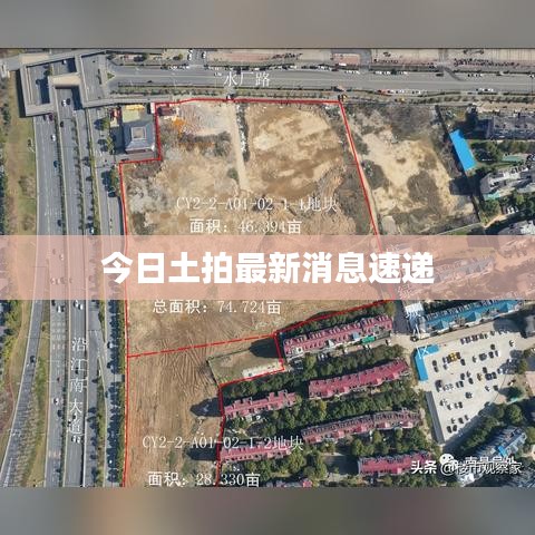 今日土拍最新消息速递
