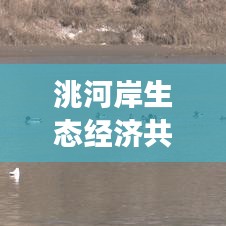 洮河岸生态经济共生，新闻头条揭秘和谐发展的奥秘
