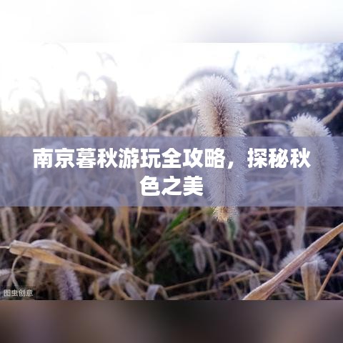 南京暮秋游玩全攻略，探秘秋色之美