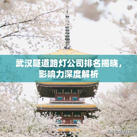 武汉隧道路灯公司排名揭晓，影响力深度解析