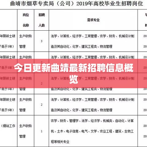 今日更新曲靖最新招聘信息概览