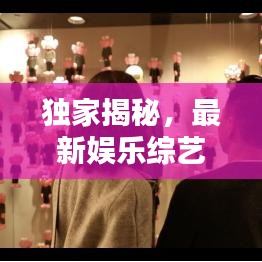 独家揭秘，最新娱乐综艺精华片段，免费观看全攻略！