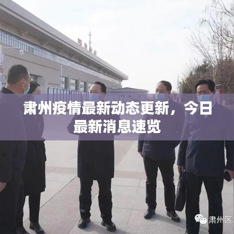 肃州疫情最新动态更新，今日最新消息速览