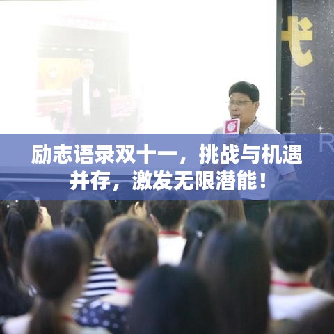 励志语录双十一，挑战与机遇并存，激发无限潜能！