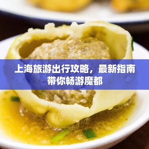 上海旅游出行攻略，最新指南带你畅游魔都