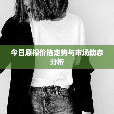 今日原棉价格走势与市场动态分析