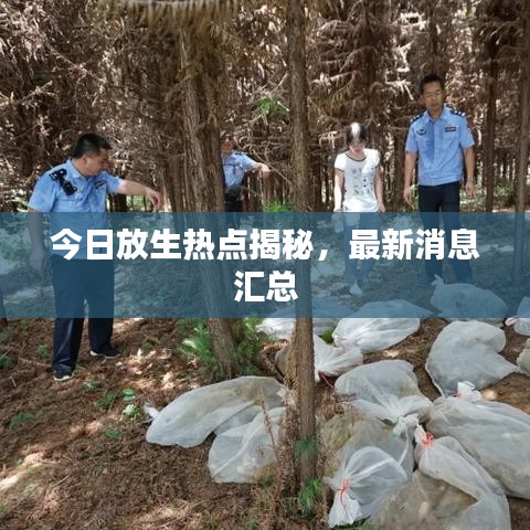 今日放生热点揭秘，最新消息汇总