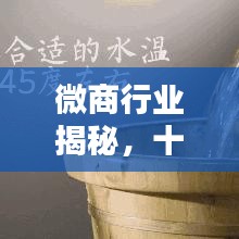 微商行业揭秘，十大知名品牌榜单揭晓！