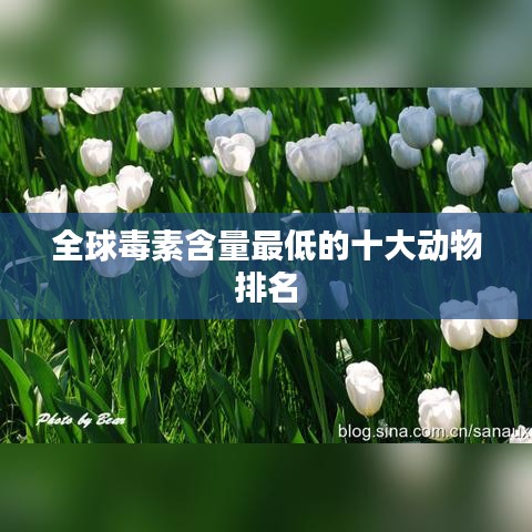 技术支持 第33页