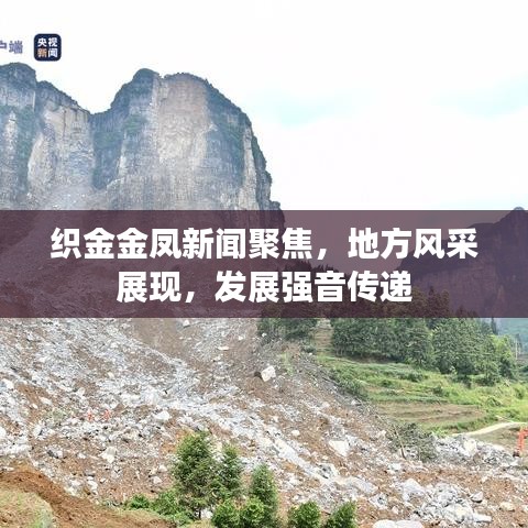 织金金凤新闻聚焦，地方风采展现，发展强音传递