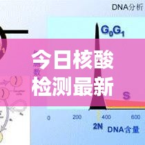 今日核酸检测最新进展，关键信息一网打尽！