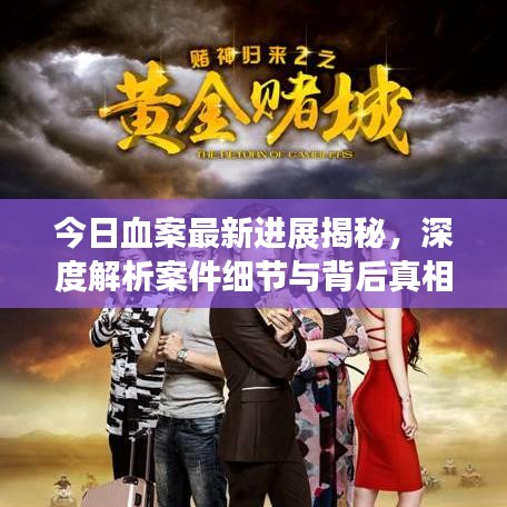 今日血案最新进展揭秘，深度解析案件细节与背后真相