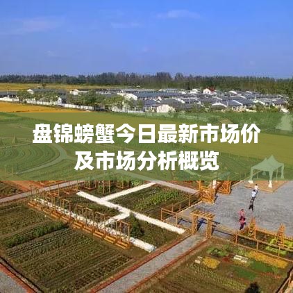 盘锦螃蟹今日最新市场价及市场分析概览